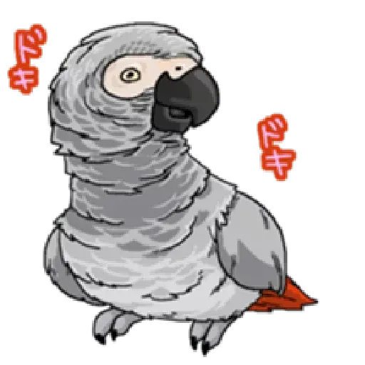 鸚鵡 - Sticker 4