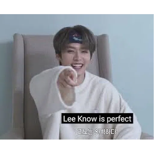 Lee Know is great - Sticker 2